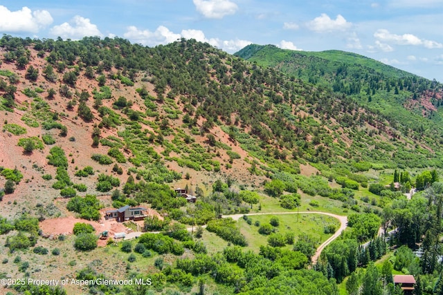 354 Snowmass Creek Rd, Snowmass, CO 81654