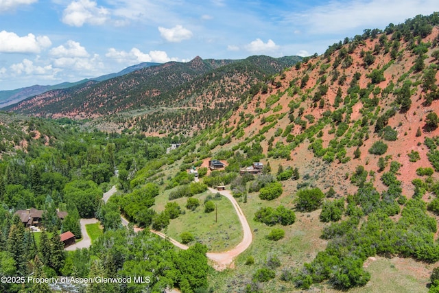 354 Snowmass Creek Rd, Snowmass, CO 81654