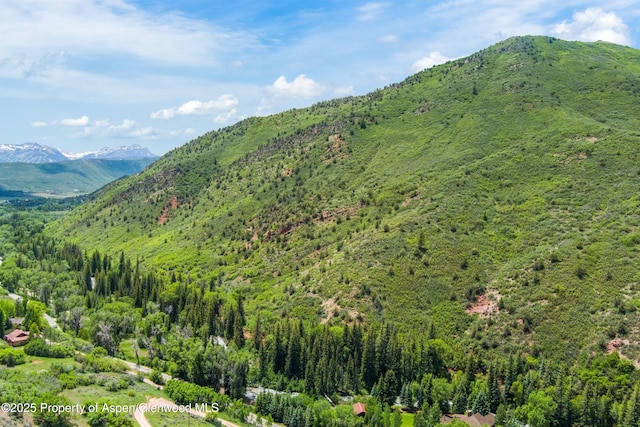 354 Snowmass Creek Rd, Snowmass, CO 81654