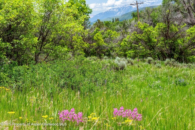 354 Snowmass Creek Rd, Snowmass, CO 81654