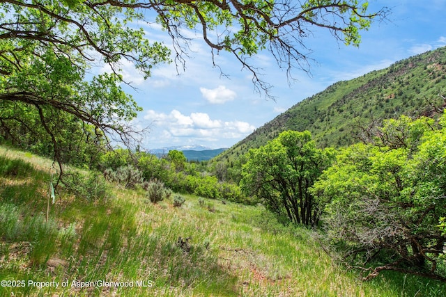 354 Snowmass Creek Rd, Snowmass, CO 81654