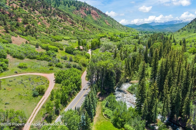 354 Snowmass Creek Rd, Snowmass, CO 81654