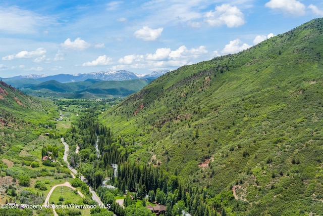 354 Snowmass Creek Rd, Snowmass, CO 81654