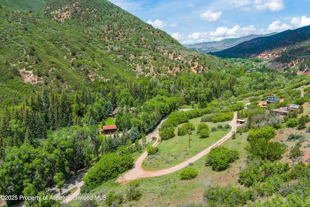 354 Snowmass Creek Rd, Snowmass, CO 81654
