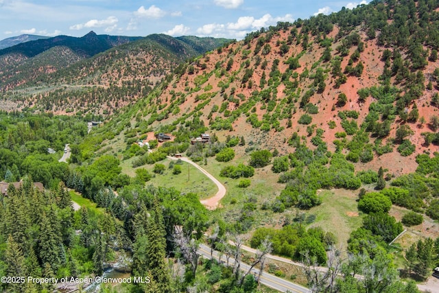 354 Snowmass Creek Rd, Snowmass, CO 81654