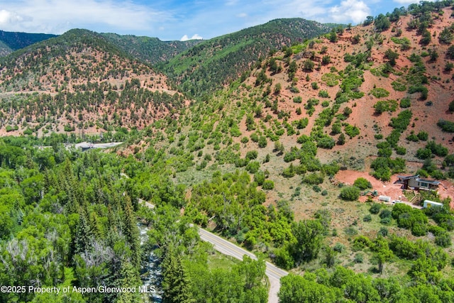 354 Snowmass Creek Rd, Snowmass, CO 81654