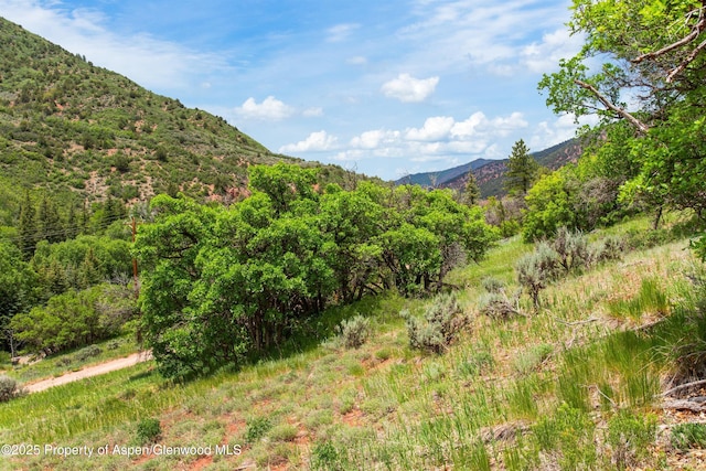 354 Snowmass Creek Rd, Snowmass, CO 81654