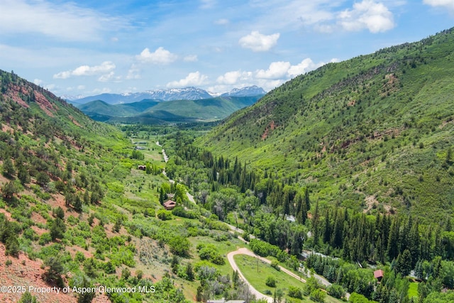 354 Snowmass Creek Rd, Snowmass, CO 81654