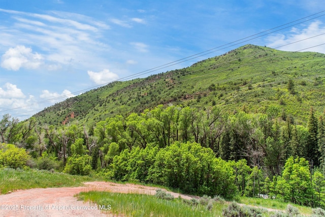 354 Snowmass Creek Rd, Snowmass, CO 81654