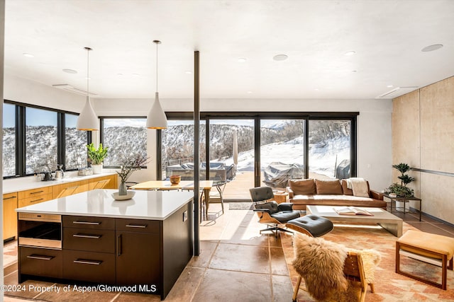 kitchen featuring a mountain view, plenty of natural light, pendant lighting, and dark brown cabinets