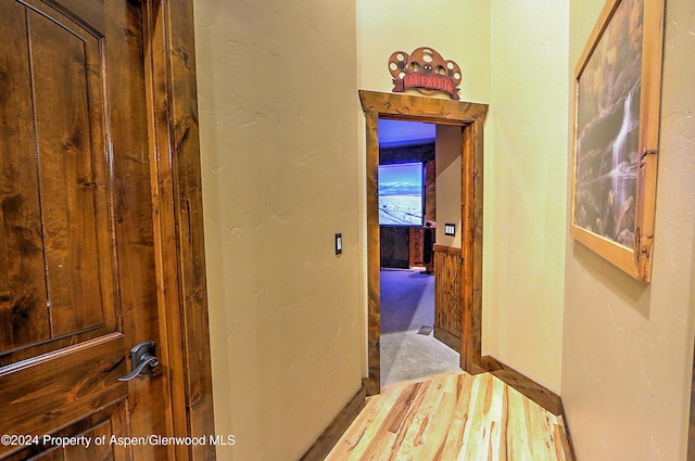 hallway featuring hardwood / wood-style floors