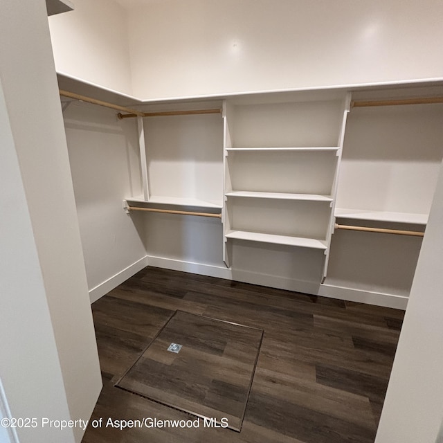 spacious closet with dark wood-type flooring