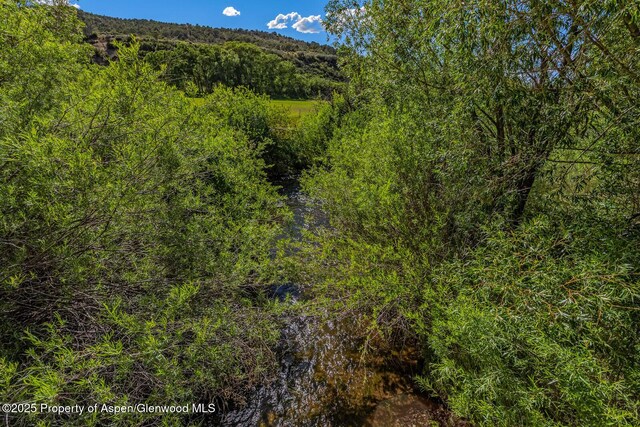 902/904 Sopris Creek Rd, Basalt, CO 81621 - photo 20