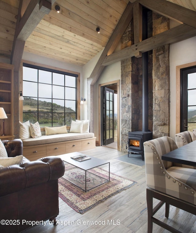 902/904 Sopris Creek Rd, Basalt, CO 81621 - living room featuring a wood stove, wooden ceiling, wood finished floors, and vaulted ceiling