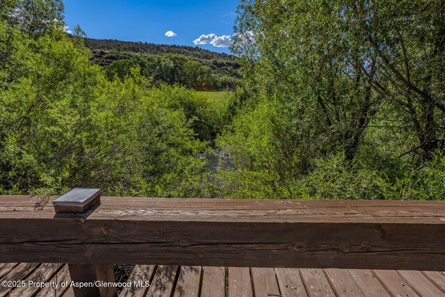 902/904 Sopris Creek Rd, Basalt, CO 81621 - photo 21