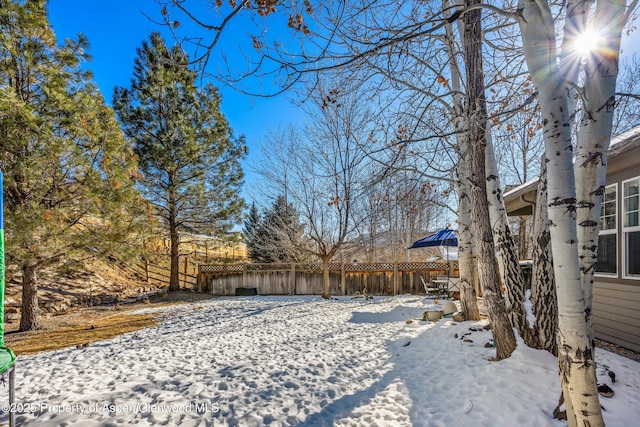 view of snowy yard