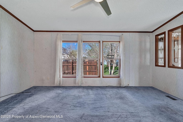 spare room with carpet floors, crown molding, a textured ceiling, visible vents, and ceiling fan