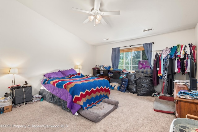 456 Black Bear Trl, Carbondale, CO 81623 - photo 8