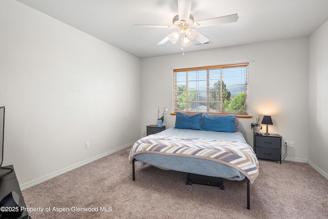 456 Black Bear Trl, Carbondale, CO 81623 - photo 10