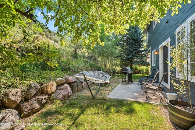 456 Black Bear Trl, Carbondale, CO 81623 - photo 3