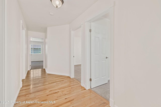 1020 Alta Vista Dr, Craig, CO 81625 - hallway featuring light wood-type flooring and baseboards