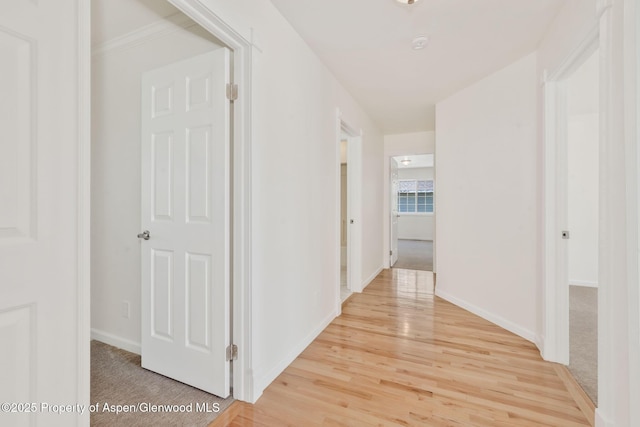 1020 Alta Vista Dr, Craig, CO 81625 - hallway featuring light wood-type flooring and baseboards