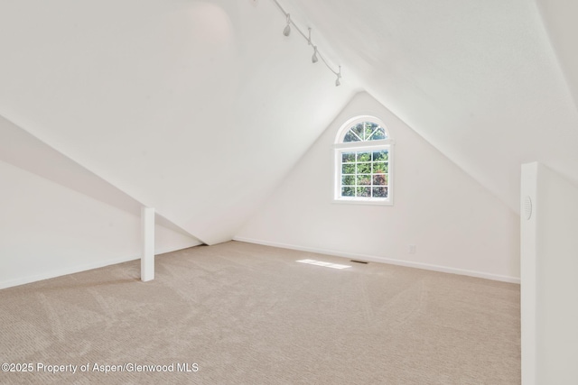 1020 Alta Vista Dr, Craig, CO 81625 - bonus room with carpet floors and lofted ceiling