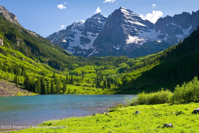 433 Gillespie St, Aspen, CO 81611 - view of mountain backdrop with a nearby body of water