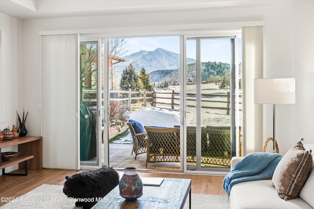 doorway with a mountain view and hardwood / wood-style floors