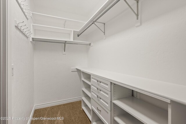 152 Blackhawk Dr, New Castle, CO 81647 - spacious closet with carpet flooring