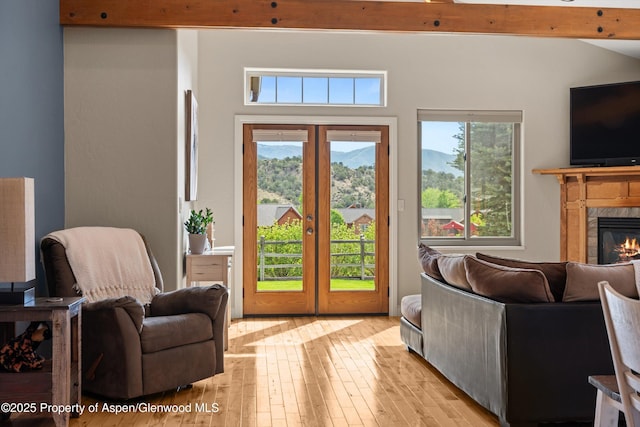 152 Blackhawk Dr, New Castle, CO 81647 - doorway to outside with light wood finished floors, a high end fireplace, and french doors