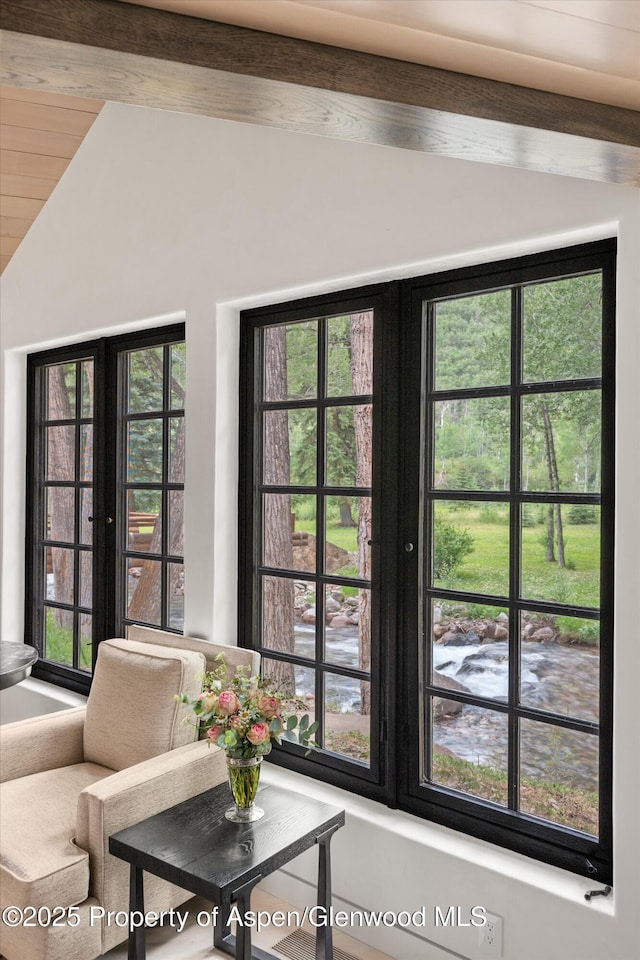 6458 Snowmass Creek Rd, Snowmass, CO 81654 - photo 49
