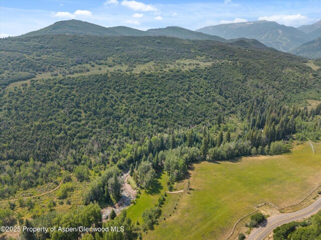 6458 Snowmass Creek Rd, Snowmass, CO 81654 - photo 111