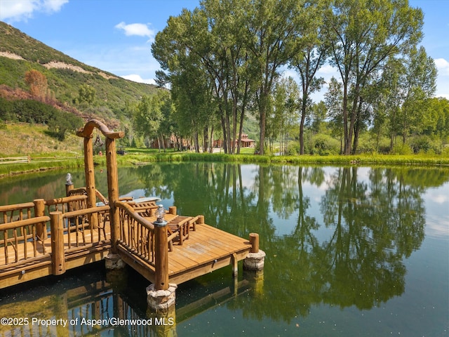 6458 Snowmass Creek Rd, Snowmass, CO 81654 - photo 18