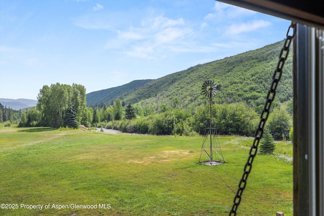 6458 Snowmass Creek Rd, Snowmass, CO 81654 - photo 87