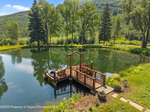 6458 Snowmass Creek Rd, Snowmass, CO 81654 - photo 17