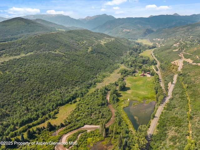 6458 Snowmass Creek Rd, Snowmass, CO 81654 - photo 109
