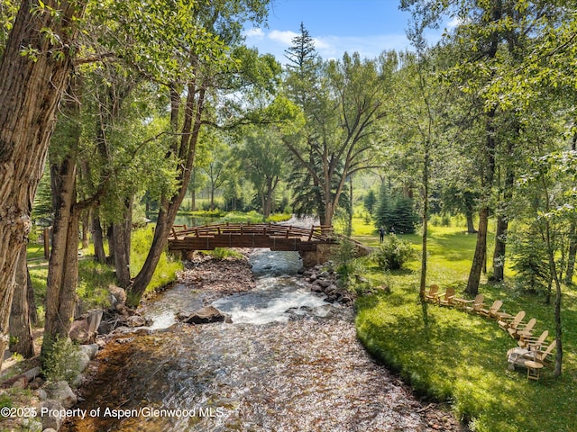 6458 Snowmass Creek Rd, Snowmass, CO 81654 - photo 10