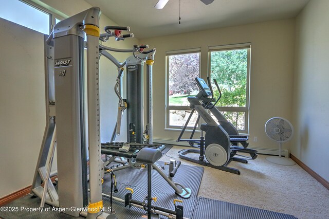 240 Lafrenz Cir, Silt, CO 81652 - photo 34
