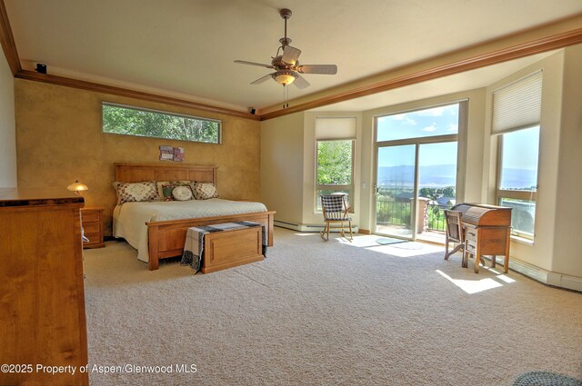 240 Lafrenz Cir, Silt, CO 81652 - photo 35