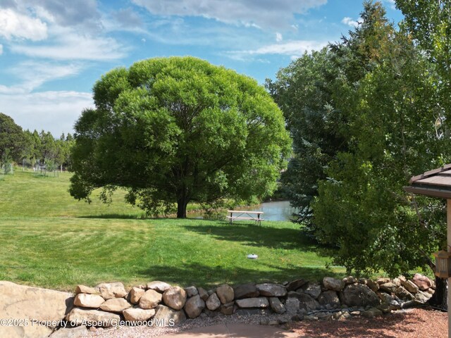 240 Lafrenz Cir, Silt, CO 81652 - photo 8