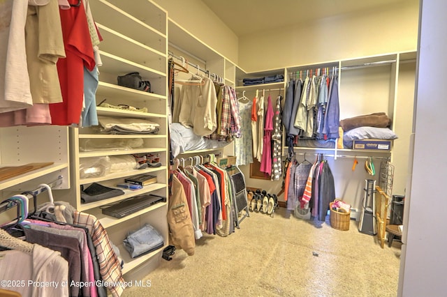 240 Lafrenz Cir, Silt, CO 81652 - photo 40
