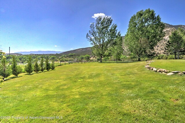 240 Lafrenz Cir, Silt, CO 81652 - photo 56