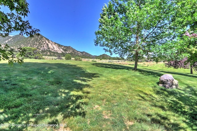 240 Lafrenz Cir, Silt, CO 81652 - photo 51