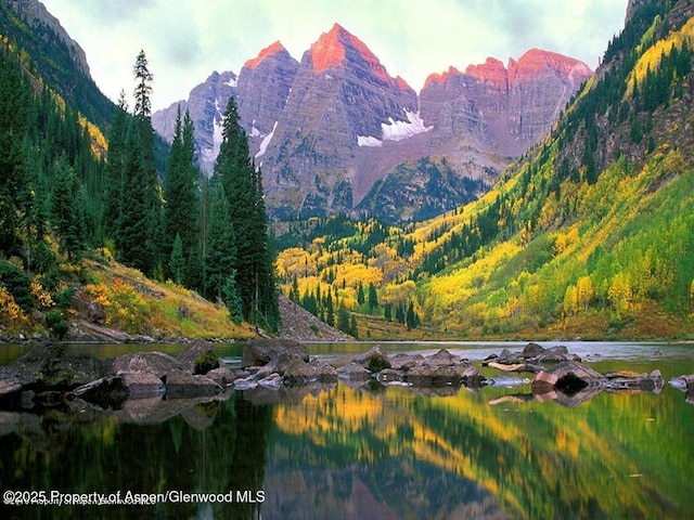 mountain view with a view of trees