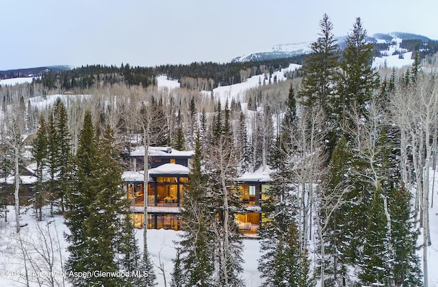 snowy aerial view with a forest view