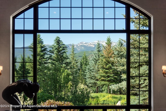 120 Running Mare Rd, Woody Creek, CO 81656 - doorway to outside featuring a view of trees and a mountain view