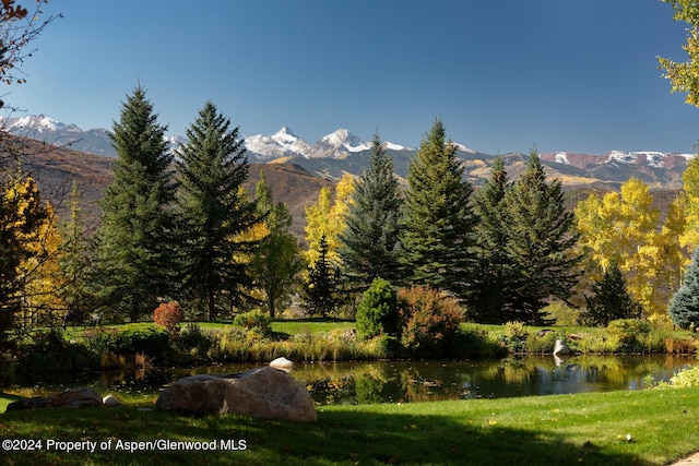 120 Running Mare Rd, Woody Creek, CO 81656 - view of mountain backdrop