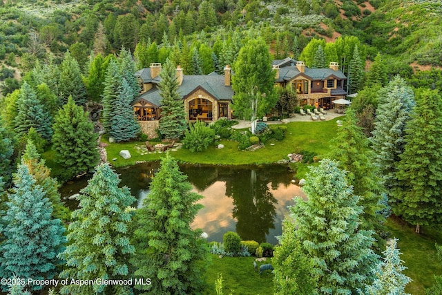 120 Running Mare Rd, Woody Creek, CO 81656 - view from above of property featuring a heavily wooded area and a nearby body of water