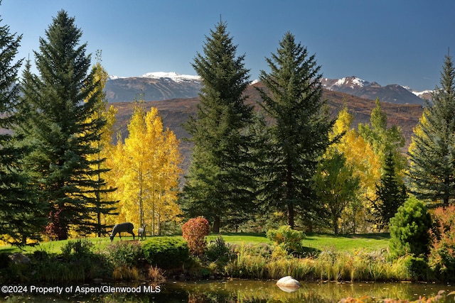 120 Running Mare Rd, Woody Creek, CO 81656 - view of mountain background